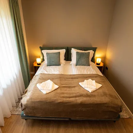 Apartment Alpine Nest Brasov
